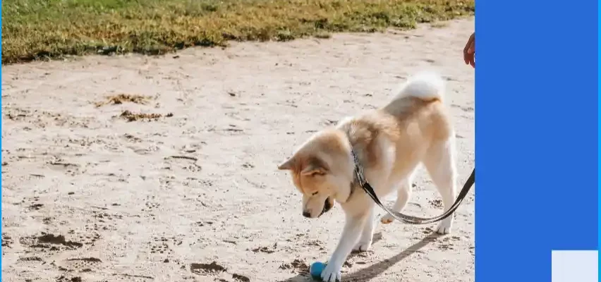 Transformación de los Huesos Humanos